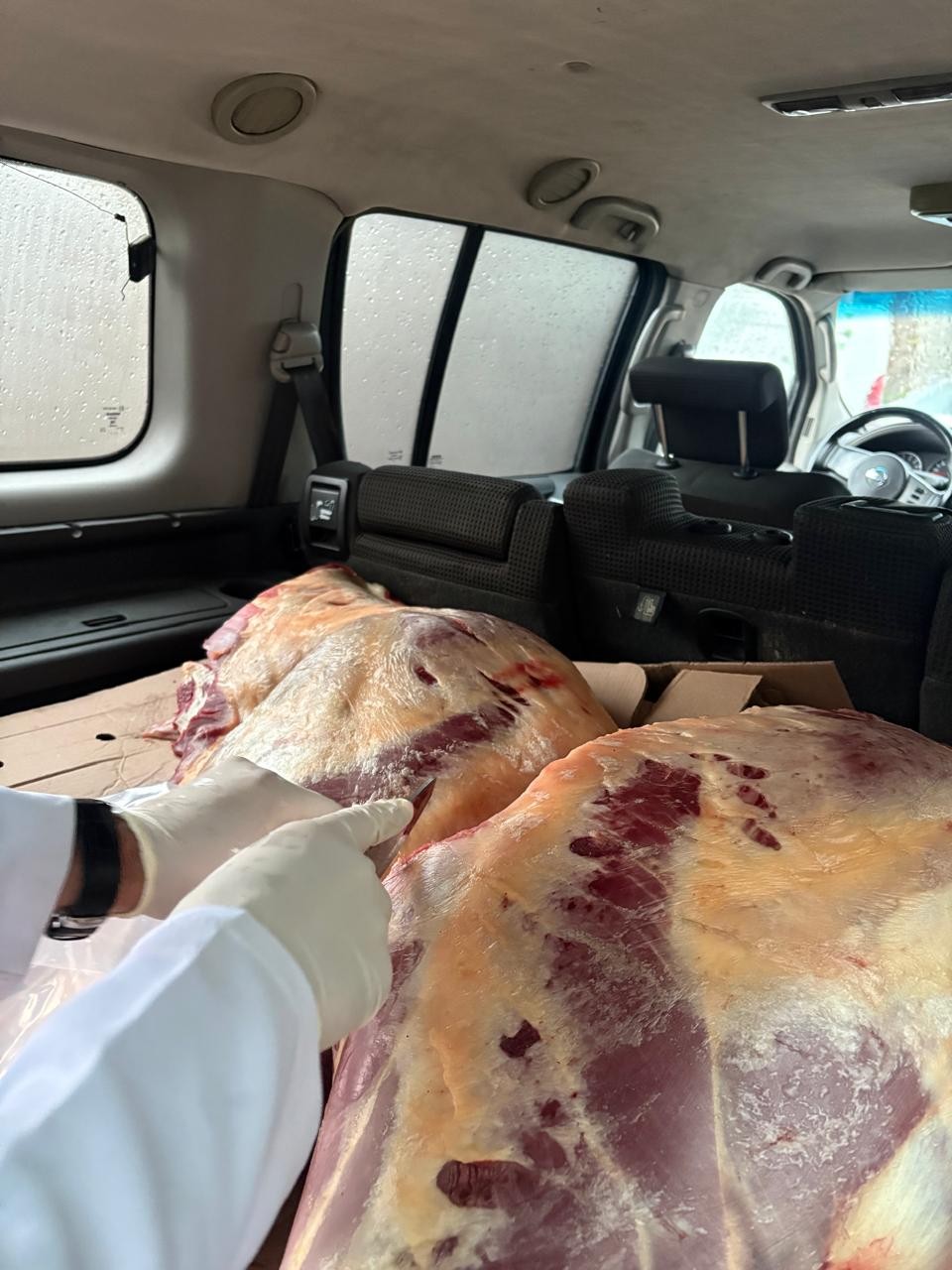 Bakıya gətirilən 227 kq at əti müsadirə olundu - FOTOLAR